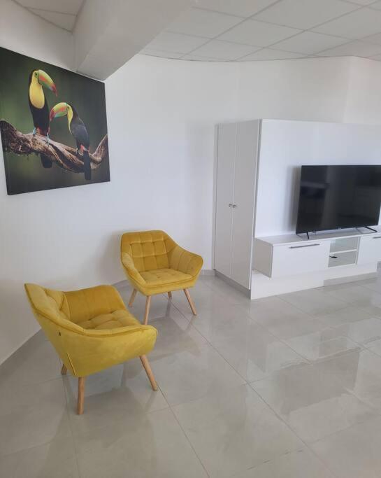 Appartamento Hello Guyane Cayenne Esterno foto